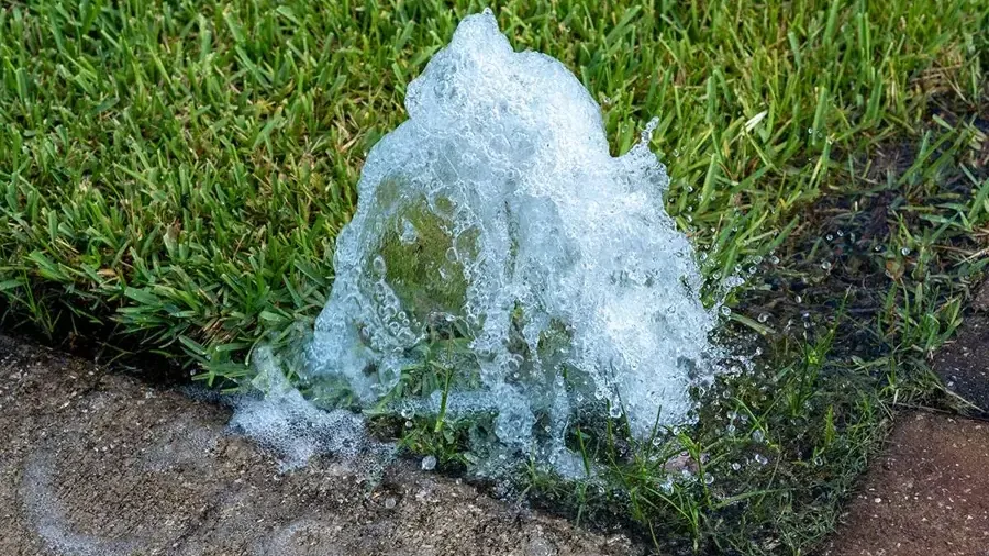 Water bubbling up through a lawn next to a walkway from a broken buried pipe
